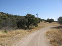 Real Texas Ranches - Bullhead Ranch
