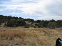 Real Texas Ranches - Bullhead Ranch